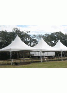 Party Tent 20' x 60'