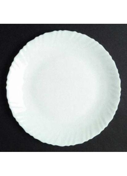 Arco Dinner Plate 11" Fancy