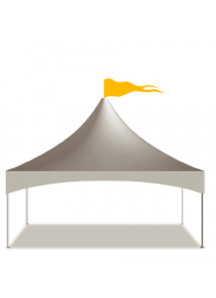 Party Tent 15' x 15'