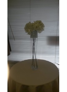 24inch by 4inch wide tall glass vase w/- silver rim