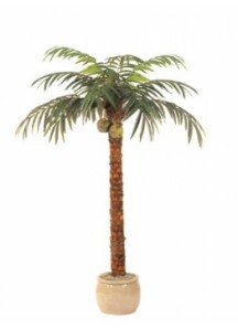 Palm Trees 8ft