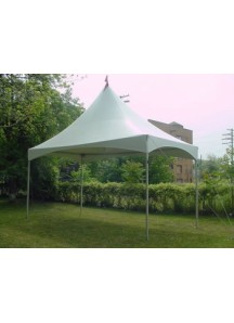 Party Tent 10' x 20'