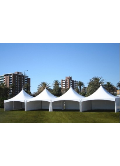 Party Tent 20' x 80'
