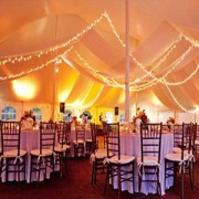 Party Tents 