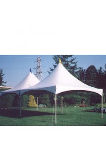 Party Tent 20' x 40'