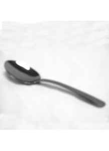 Table Serving Spoon